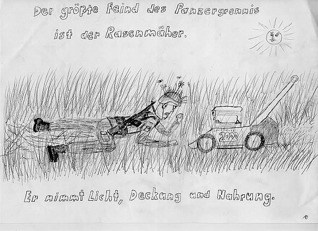 Der gr��te Feind des Panzergrennis ist der Rasenm�her. Er nimmt Licht, Deckung und Nahrung.